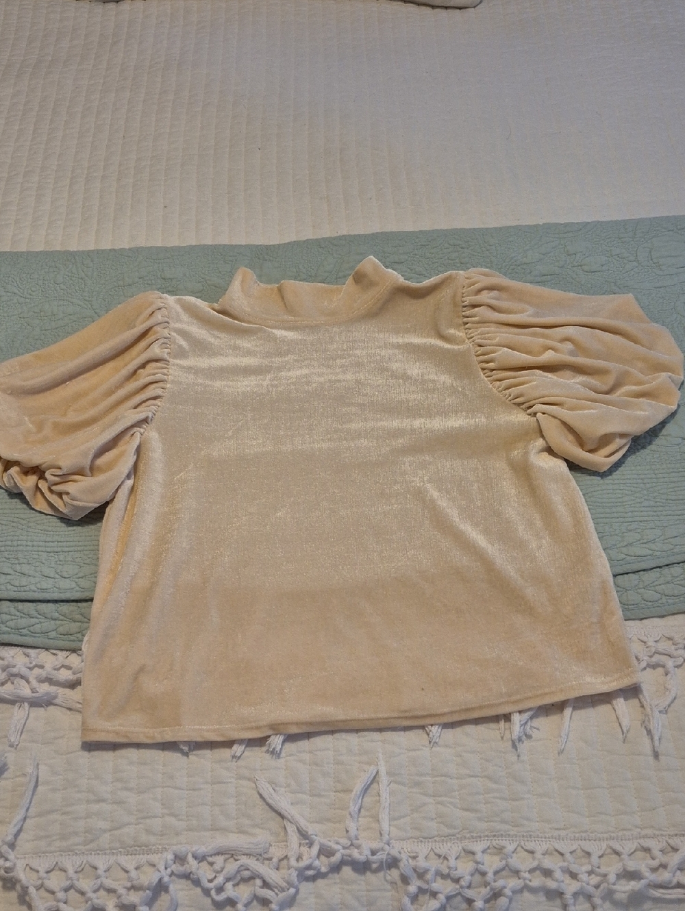 Free People Velvet Short Sleeve Top